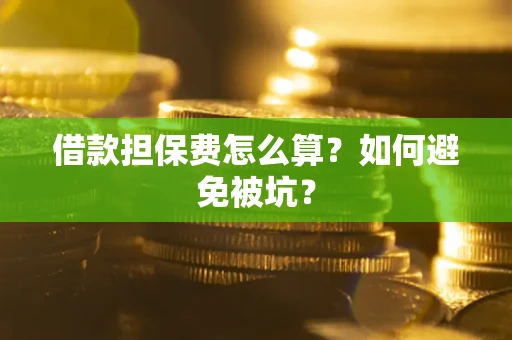 北京借款担保费怎么算？如何避免被坑？